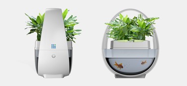 藍(lán)布生態(tài)魚缸 無需換水的智能水族新體驗(yàn)與品牌創(chuàng)新之路