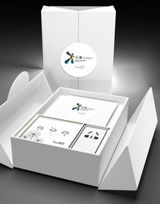 智繪未來，悅享生活——智能家居產(chǎn)品LOGO與包裝設(shè)計(jì)方案